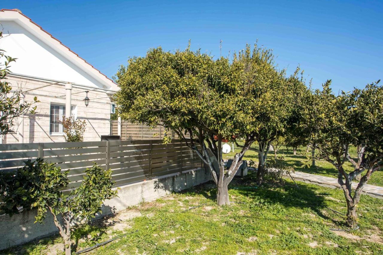 Faliraki Citrus Garden Exteriör bild
